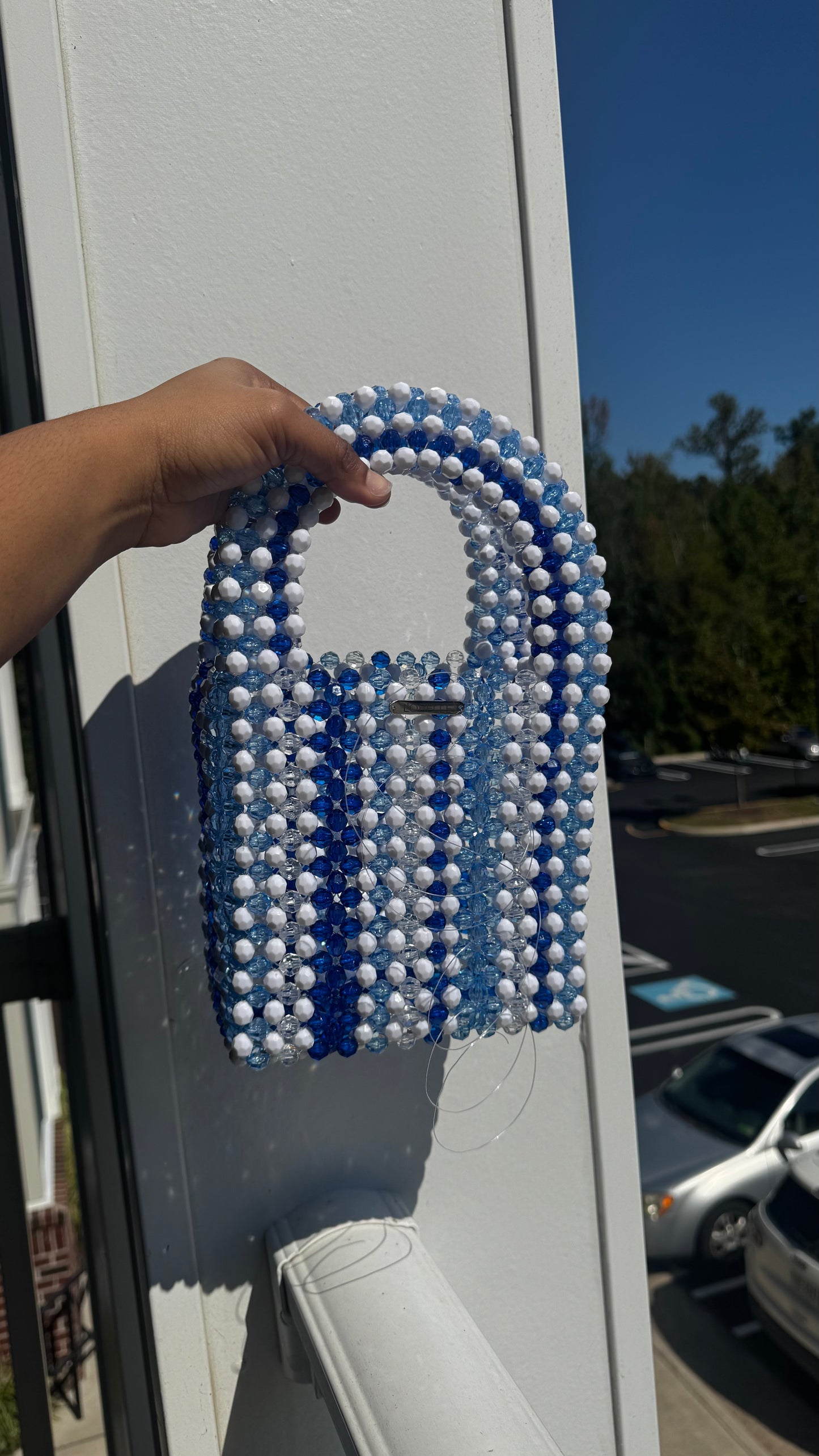 MAXIN BAG