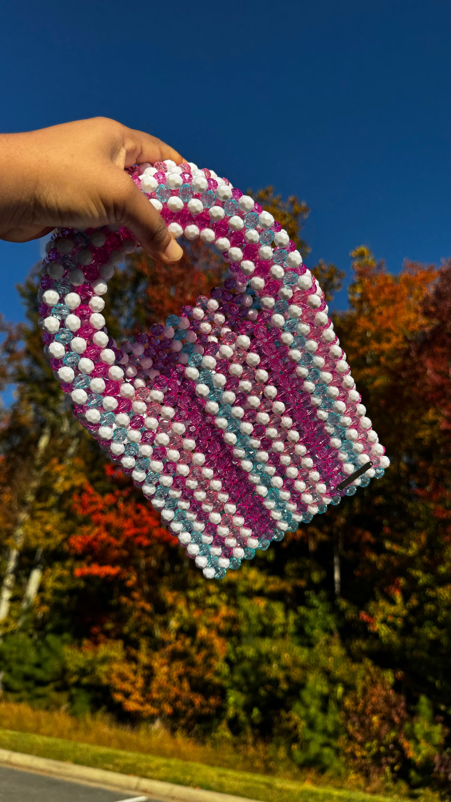 MAXIN BAG